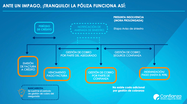Seguro de crédito impago